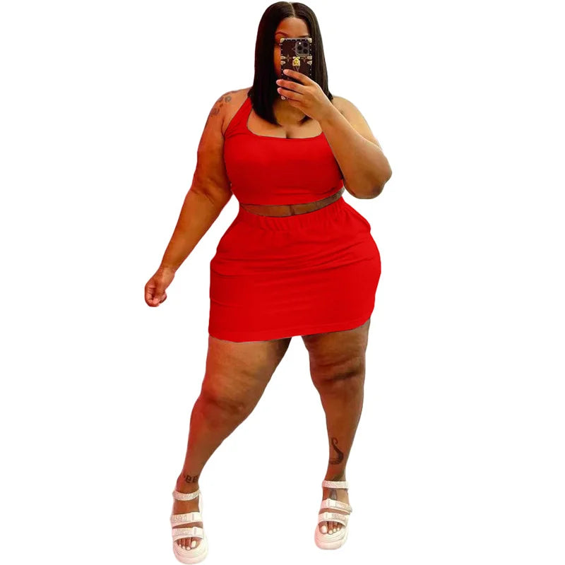 2 Piece Sexy Crop Tops and Skirt Set