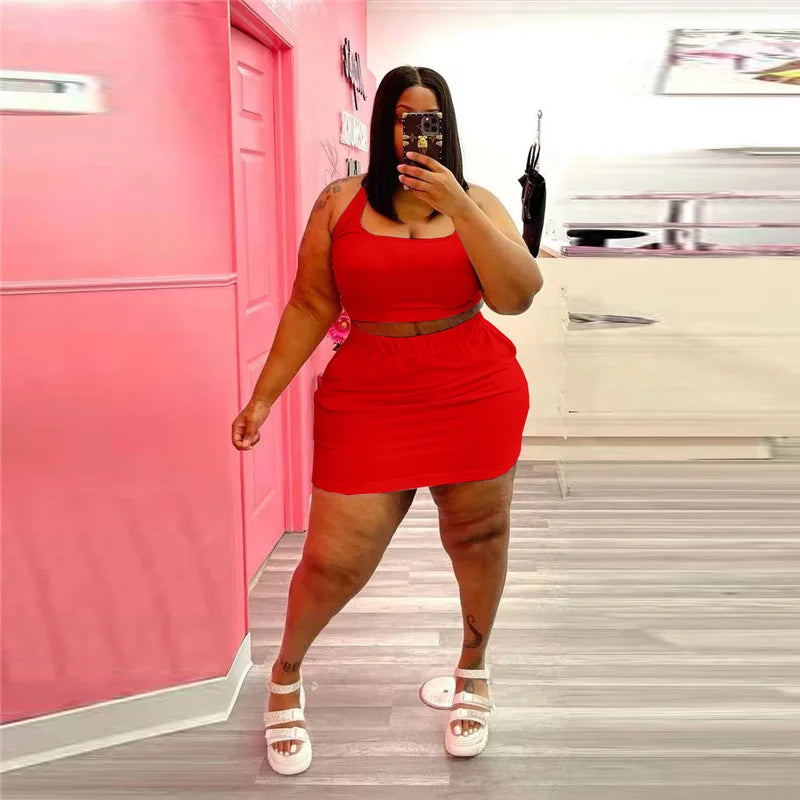 2 Piece Sexy Crop Tops and Skirt Set